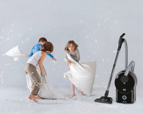Airbelt D4 Premium in Onyx - SEBO Canada vacuum cleaners